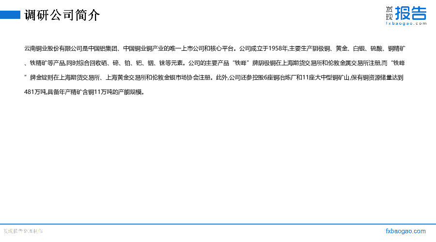 云南铜业机构调研纪要